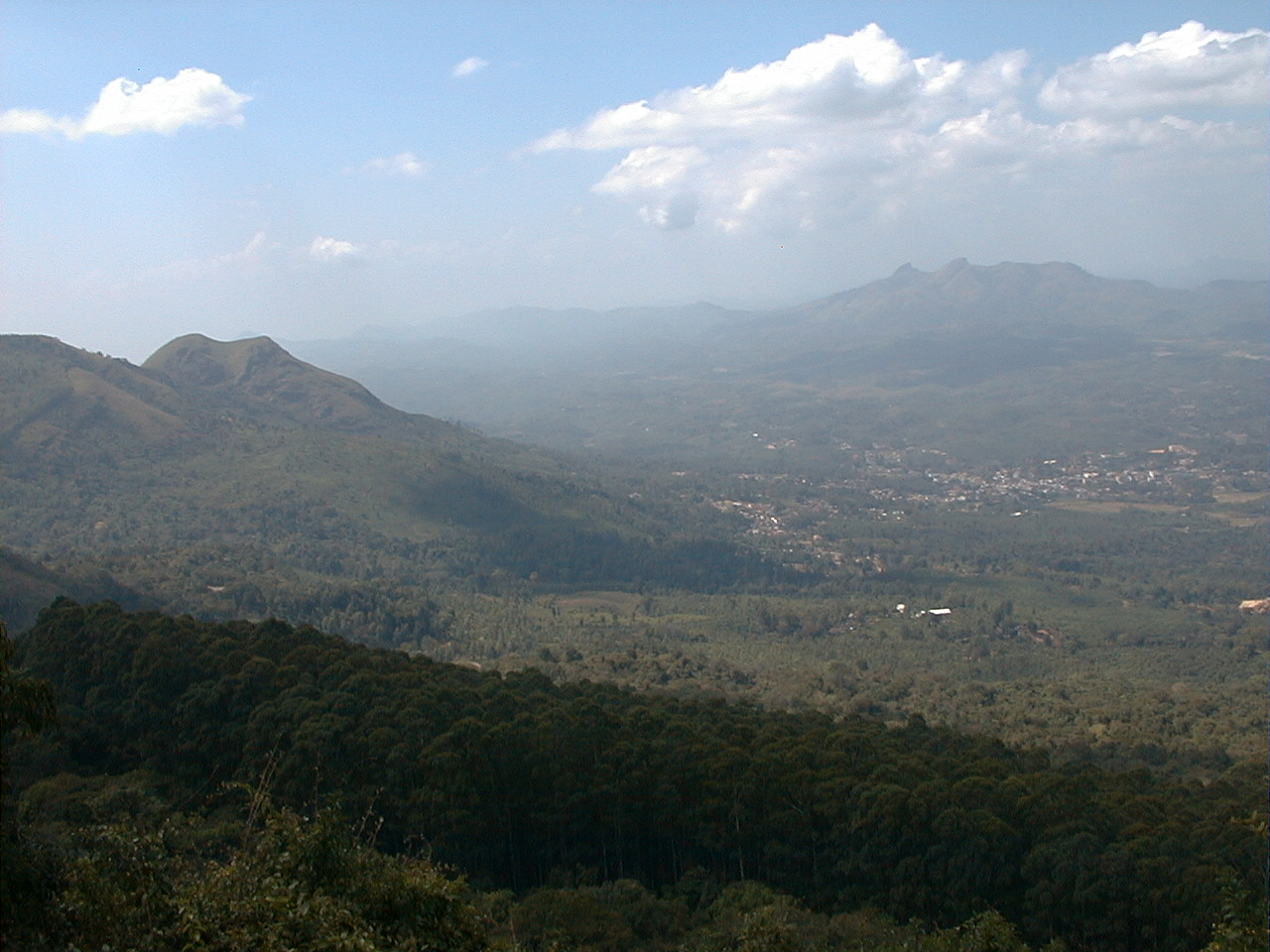 205.jpg