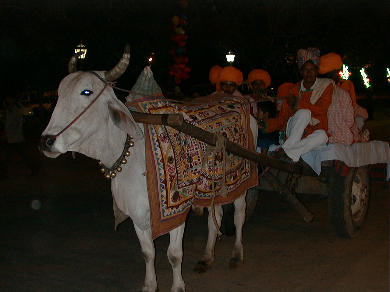 405.jpg, Wedding, Jaipur