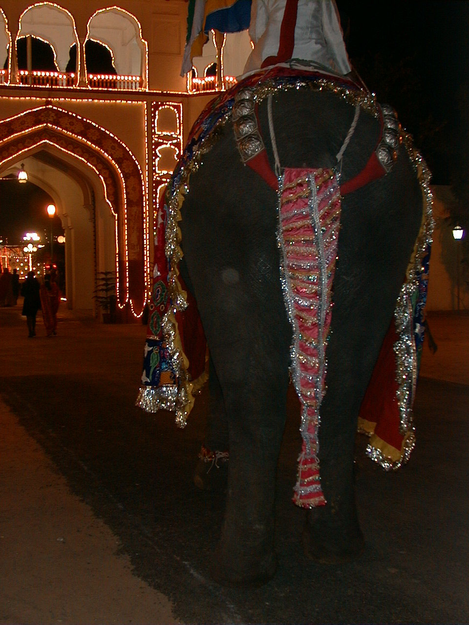 406.jpg, Wedding, Jaipur