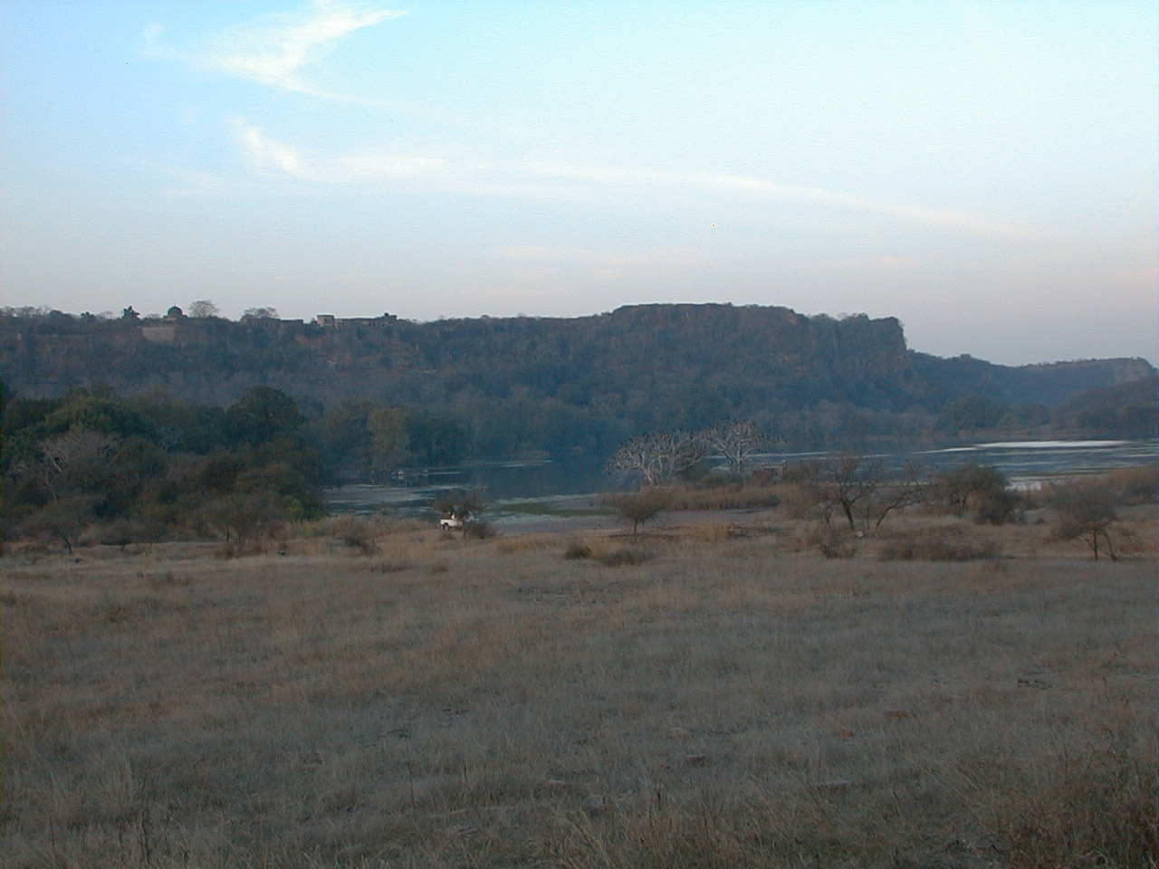 429.jpg, Ranthambhor