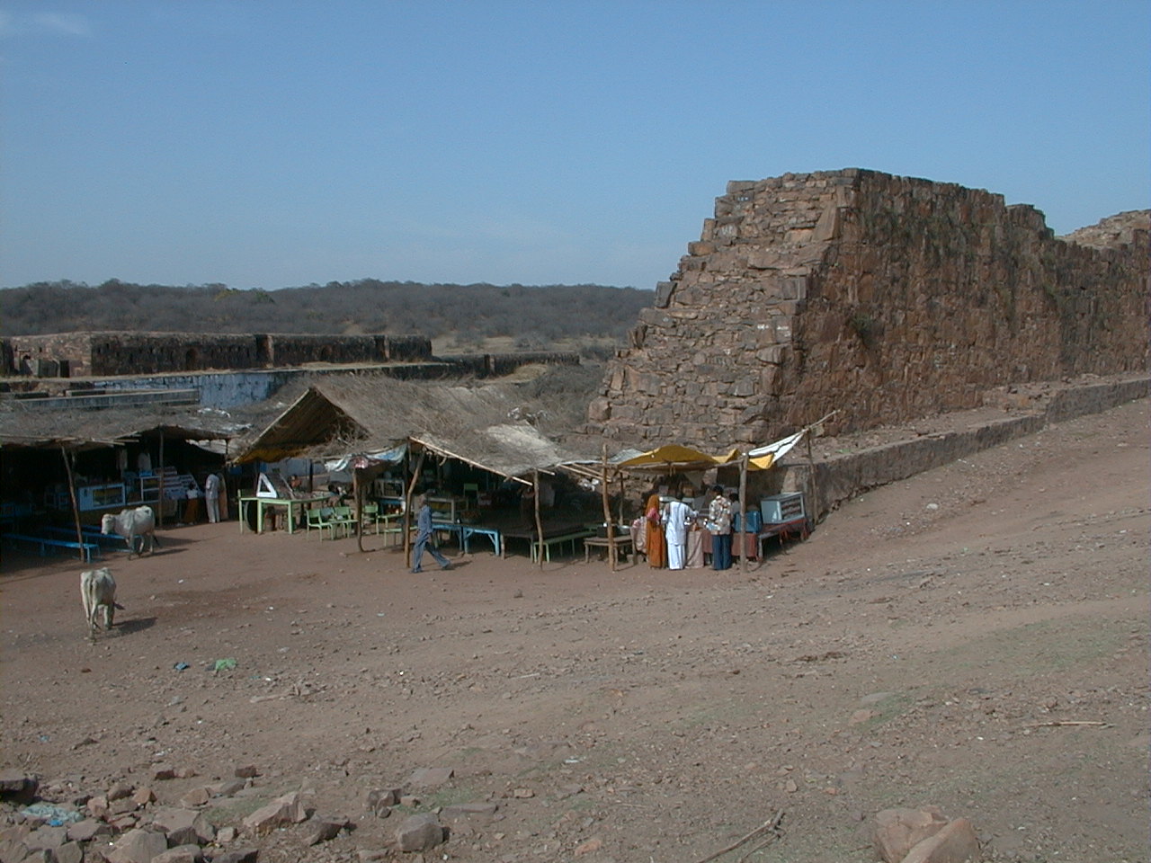 431.jpg, Ranthambhor