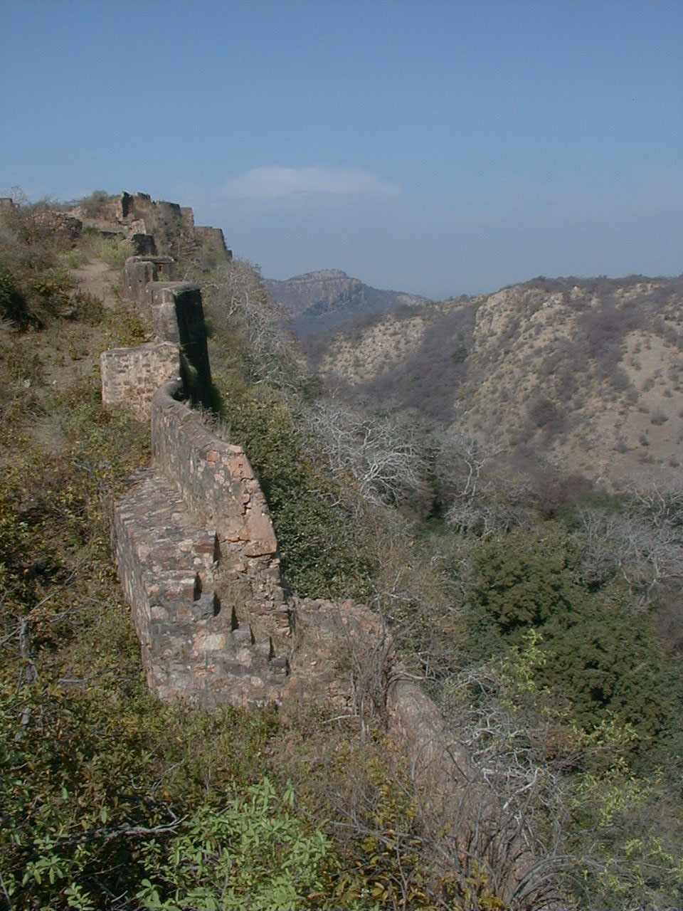 433.jpg, Ranthambhor