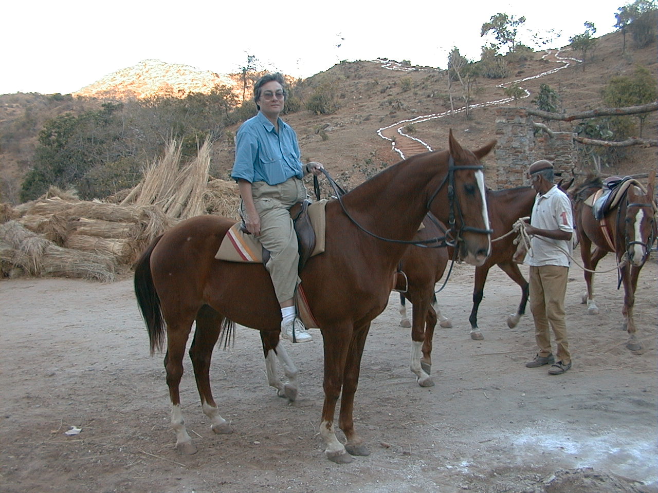 501.jpg, Kumbalgarh Fort