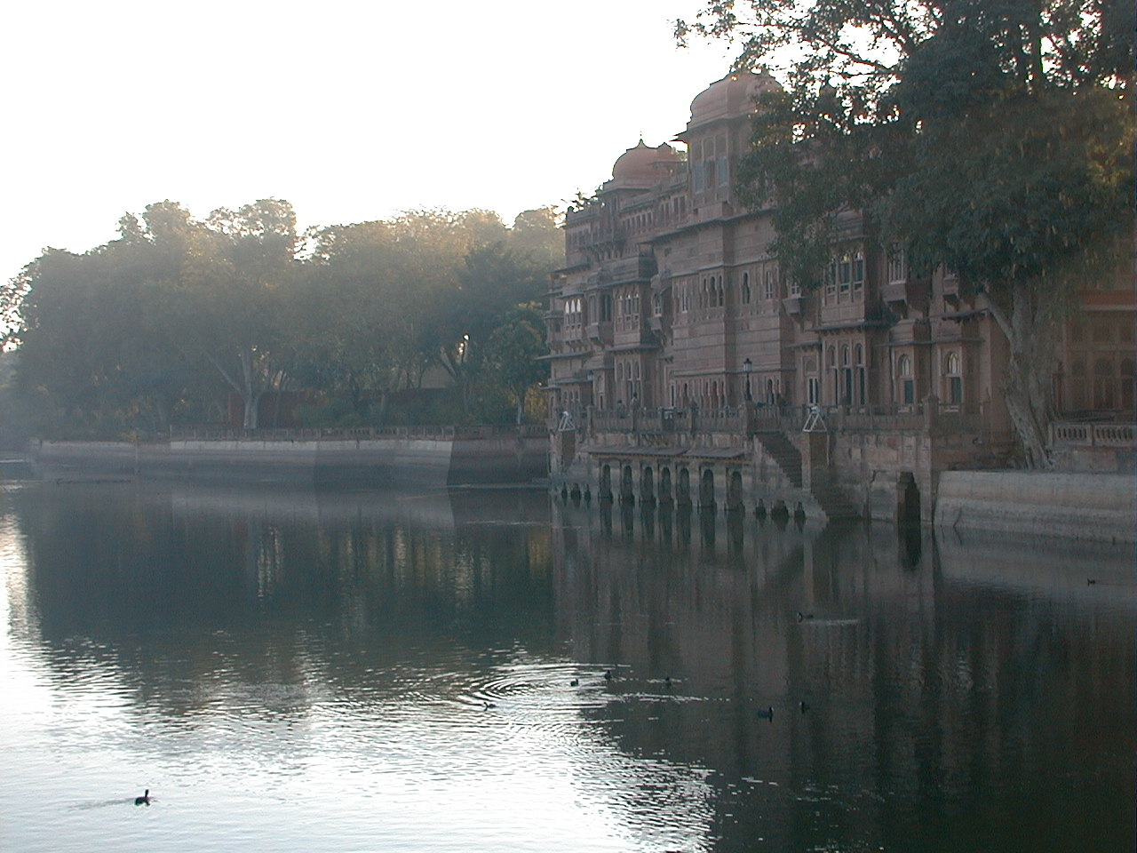 531.jpg, Gajner Palace, Bikaner