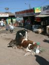 _192.jpg, Ooty market