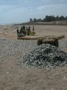 _276.jpg, Fish drying,
Mahabalipuram