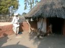 _354.jpg, Bishnoi village, Rohet