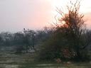 _434.jpg, Bharatpur bird sanctuary