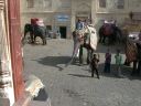 _465.jpg, Amber Palace, Jaipur