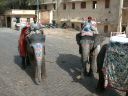 _466.jpg, Amber Palace, Jaipur