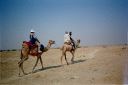 _ph-06.jpg, Camel safari