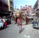 _ph-44a.jpg, Bikaner