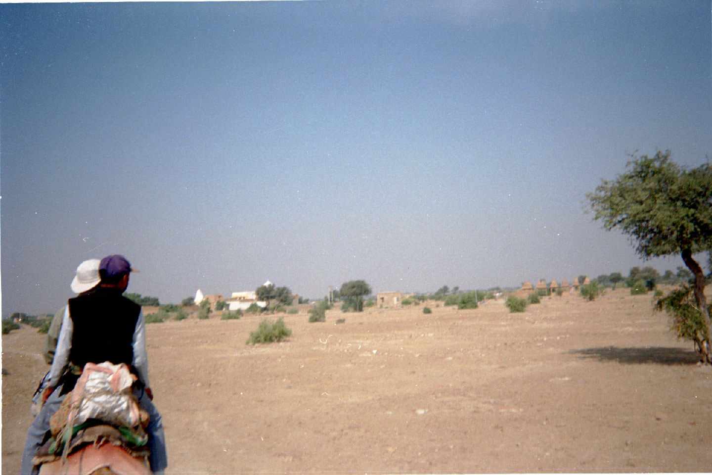 ph-07.jpg, Camel safari