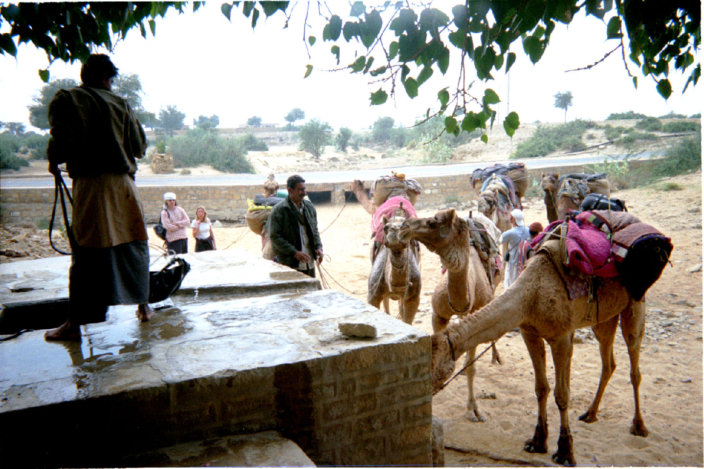 ph-09.jpg, Camel safari, lunch stop