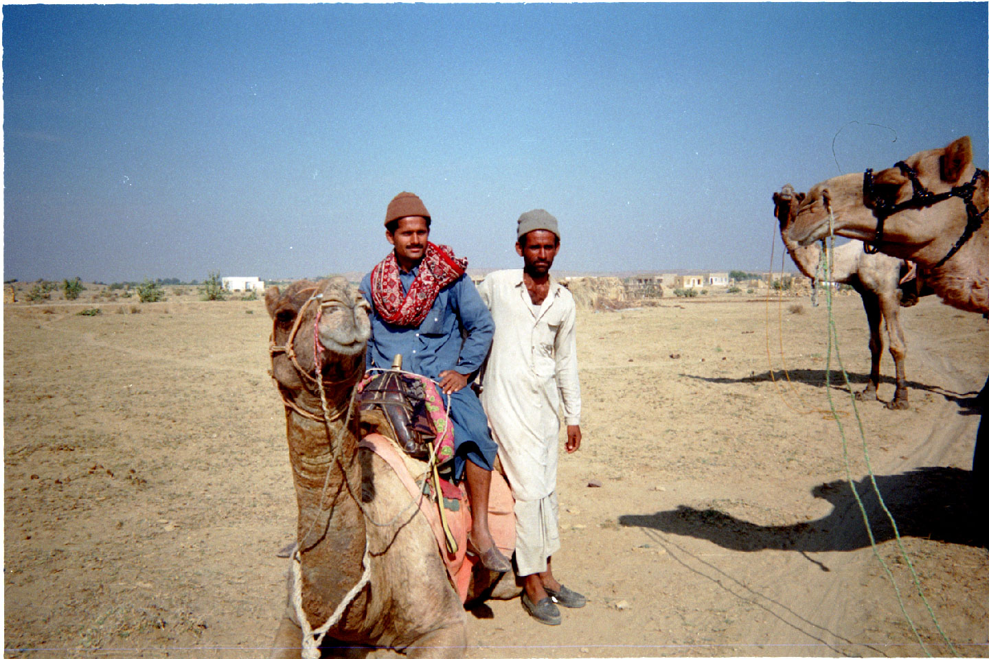 ph-27.jpg, Camel drivers