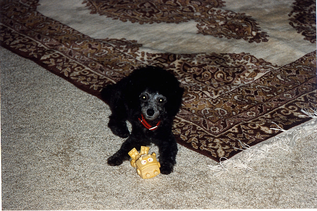 198909-08.jpg