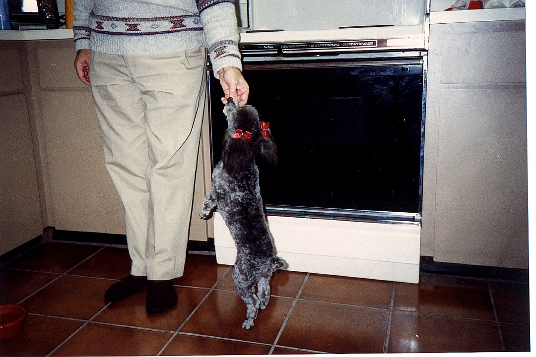 199001-03.jpg