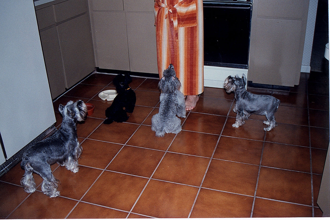 199107-08.jpg