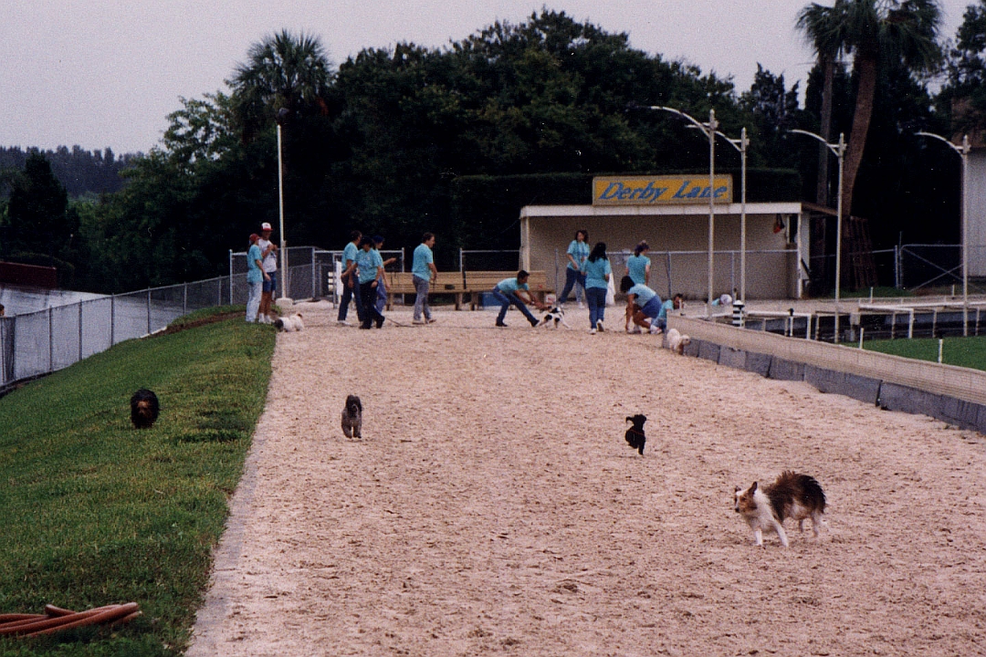 199210-07.jpg - Tigger Wins!