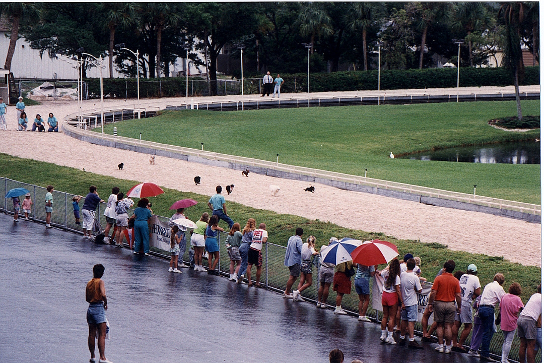 199210-15.jpg