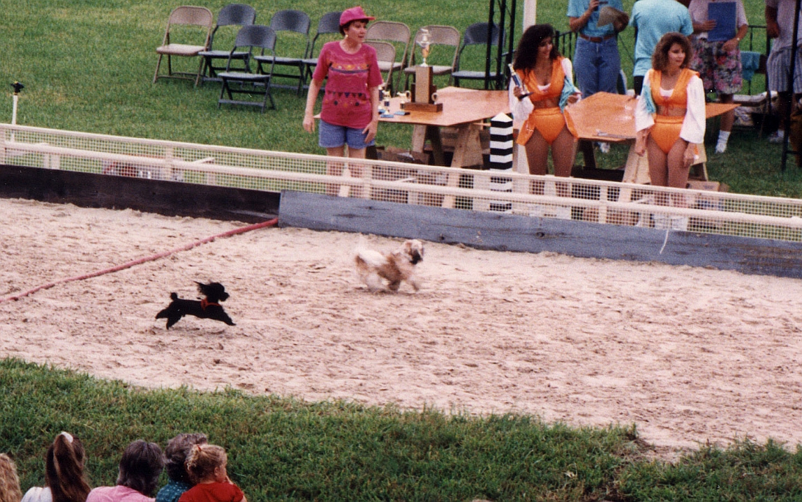 199210-17.jpg - Tigger - almost last!