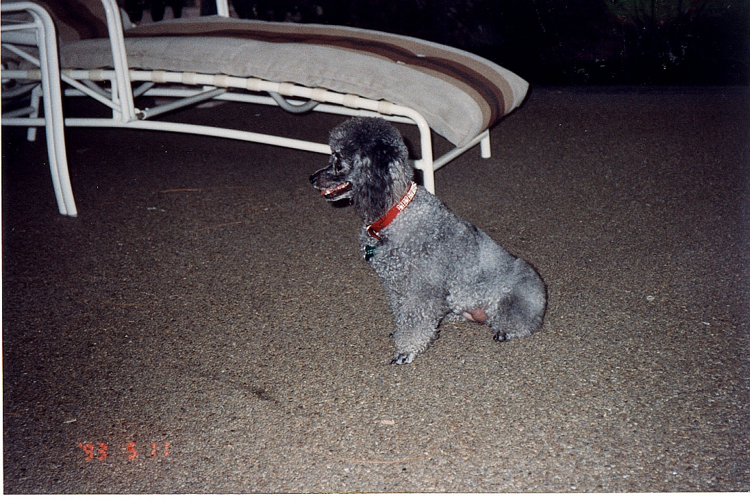 199305-01.jpg