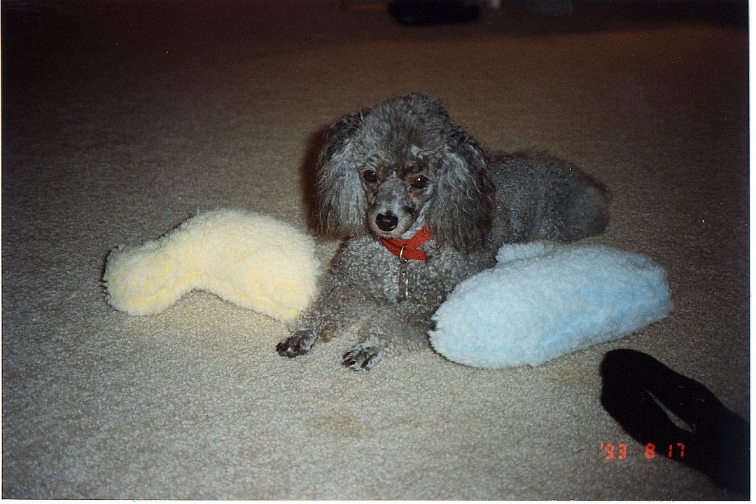 199308-02.jpg