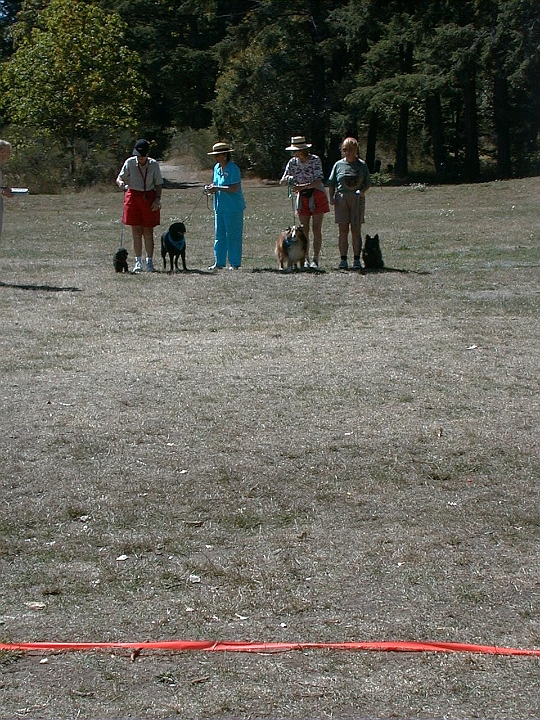 199908-01.jpg - Pats Pets Picnic