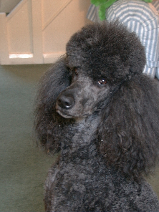 200105-12.jpg