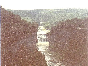 198007-07 Letchworth State Park NY