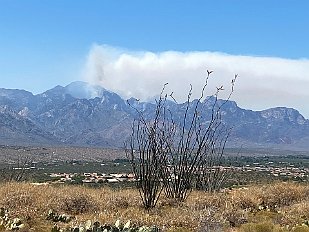 202010-001 The Bighorn fire