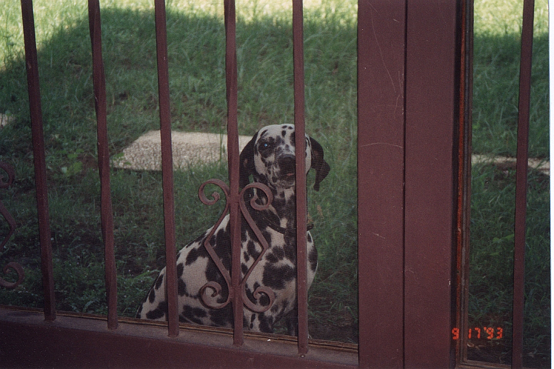 199309-28.jpg - Baymont's Manila rental house