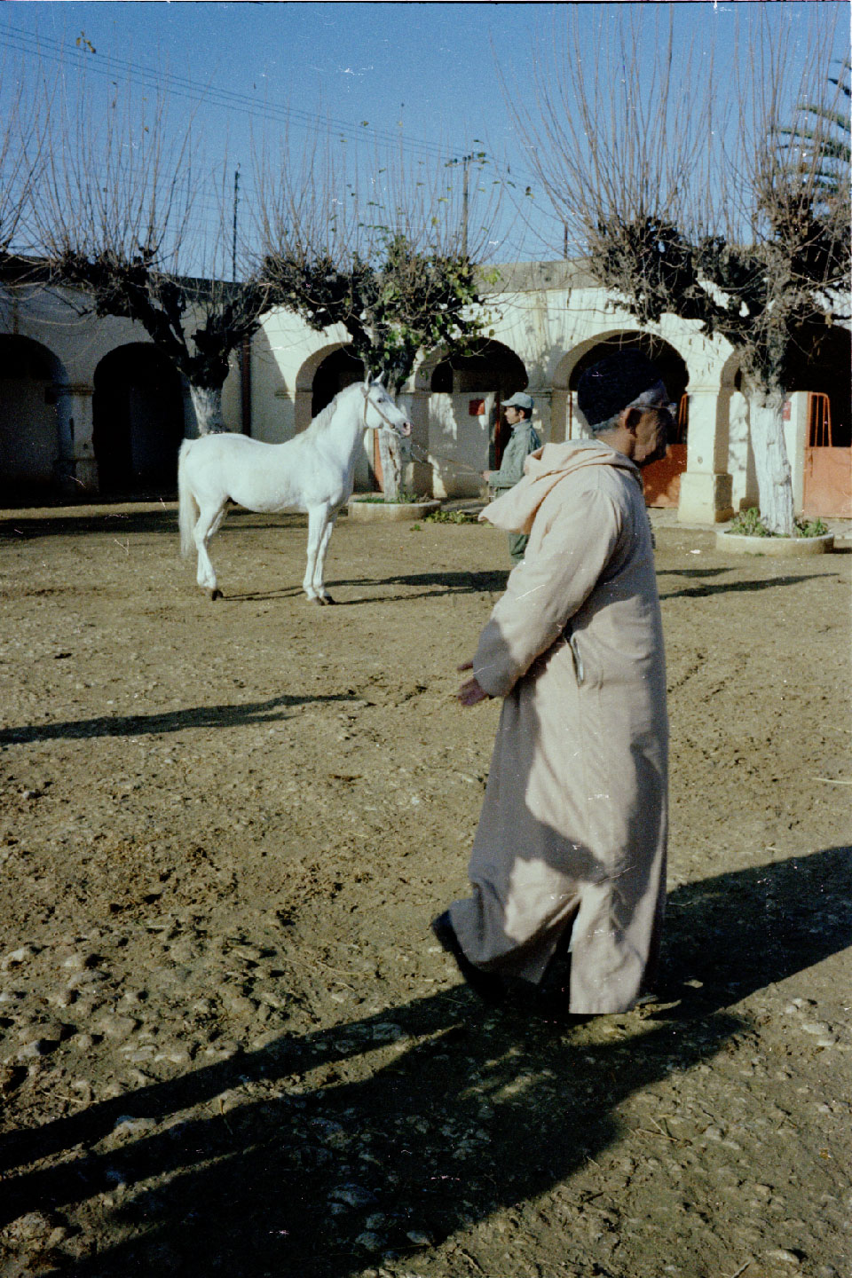 01-23.jpg, Meknes - stud farm