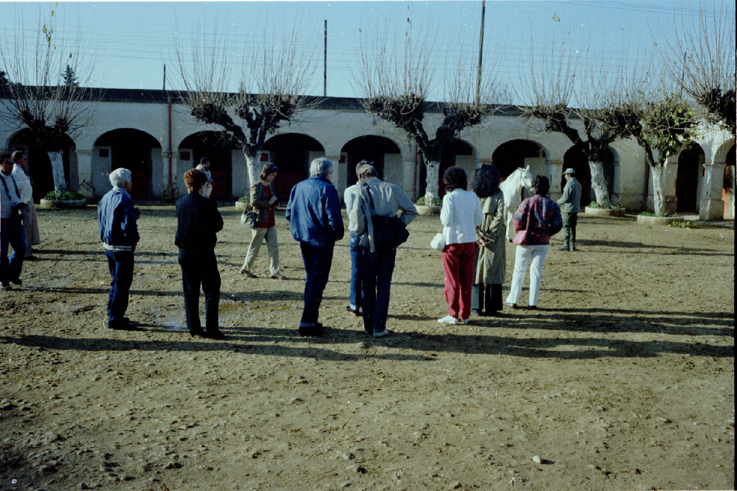 01-24.jpg, Meknes - stud farm