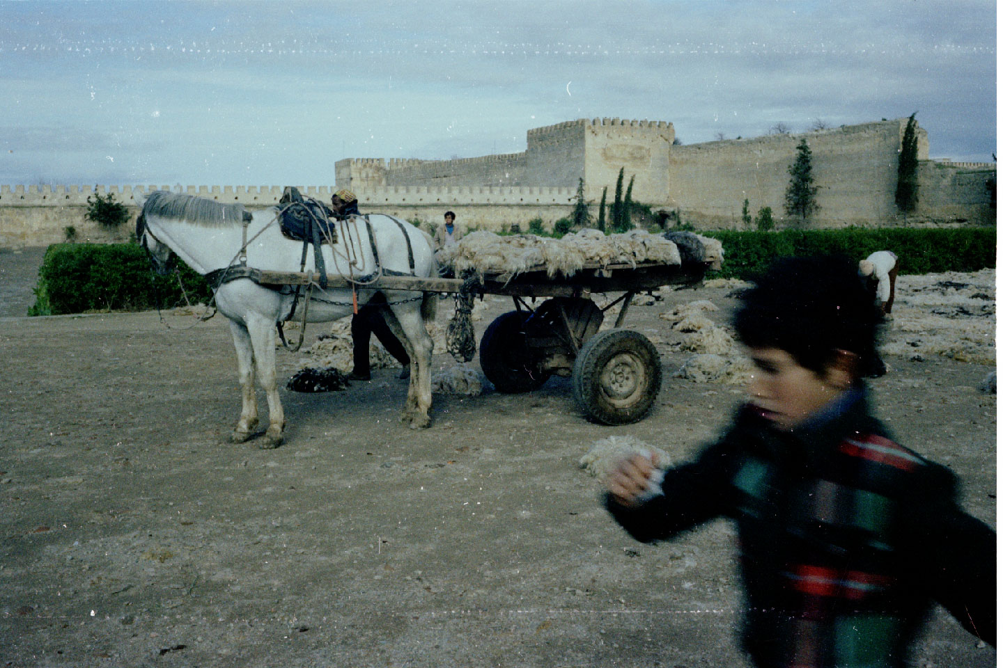 01-35.jpg, Meknes - market