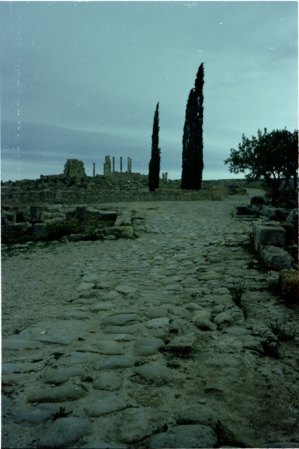 02-03.jpg, Volubilis