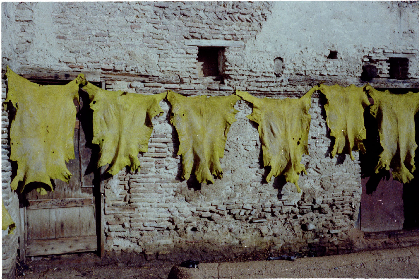 02-11.jpg, Fez - Tannery