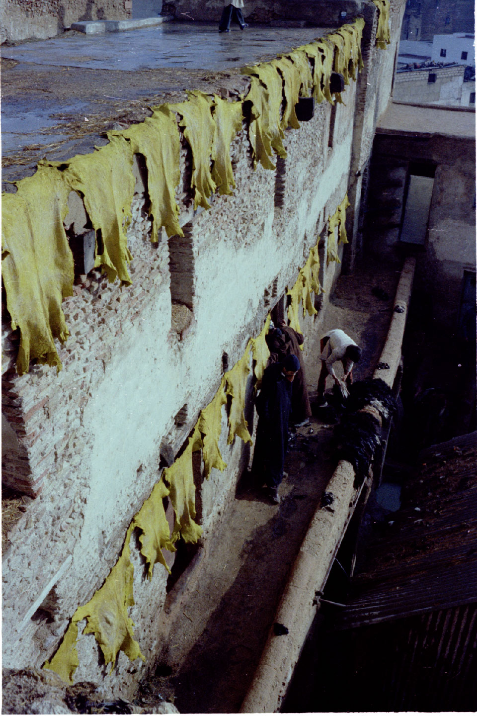 02-12.jpg, Fez - Tannery