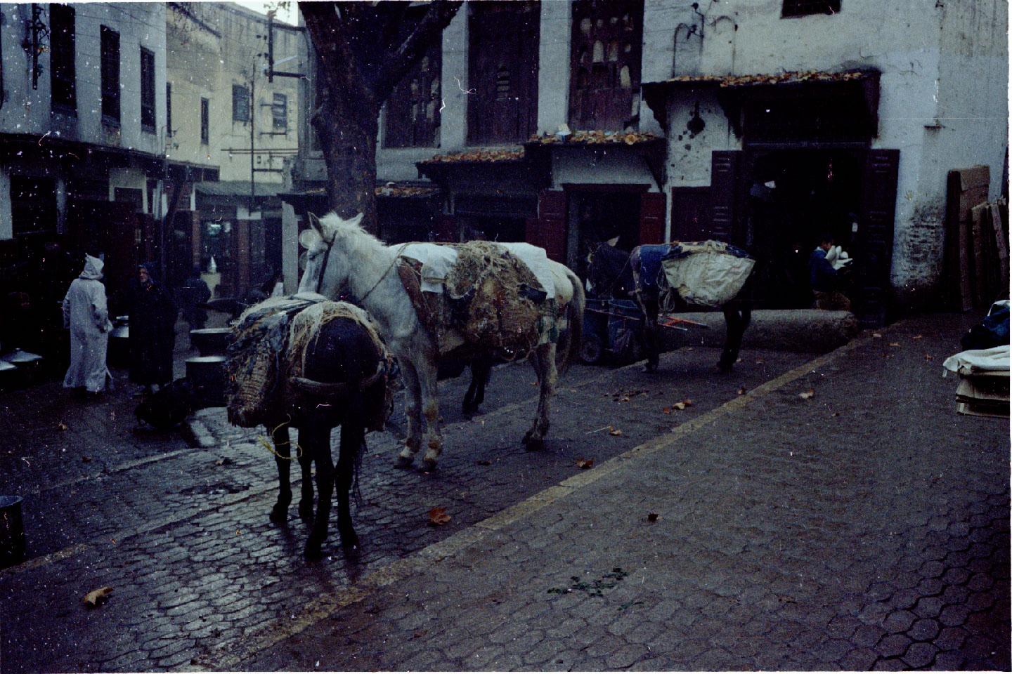 02-20.jpg, Fez