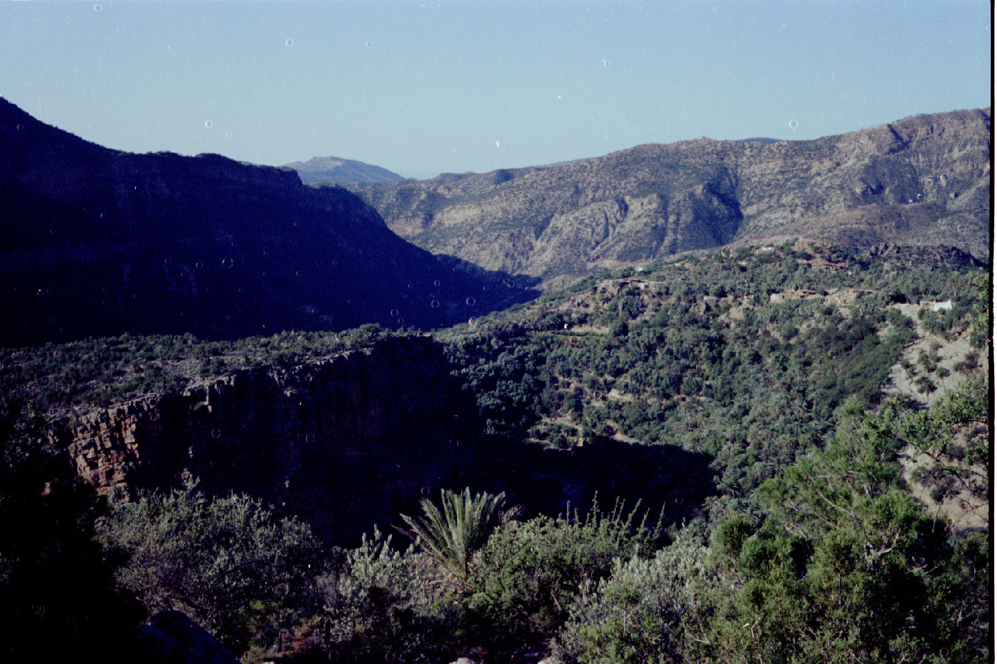 04-26.jpg
