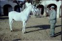 _01-22.jpg, Meknes - stud farm