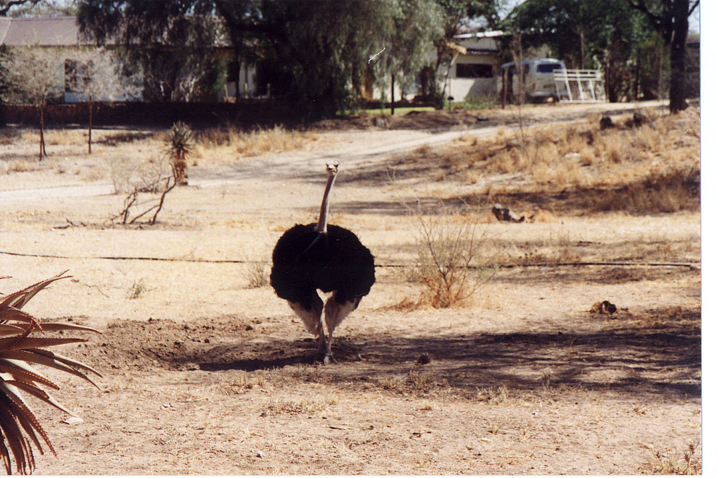 002.jpg, Epako Game Lodge