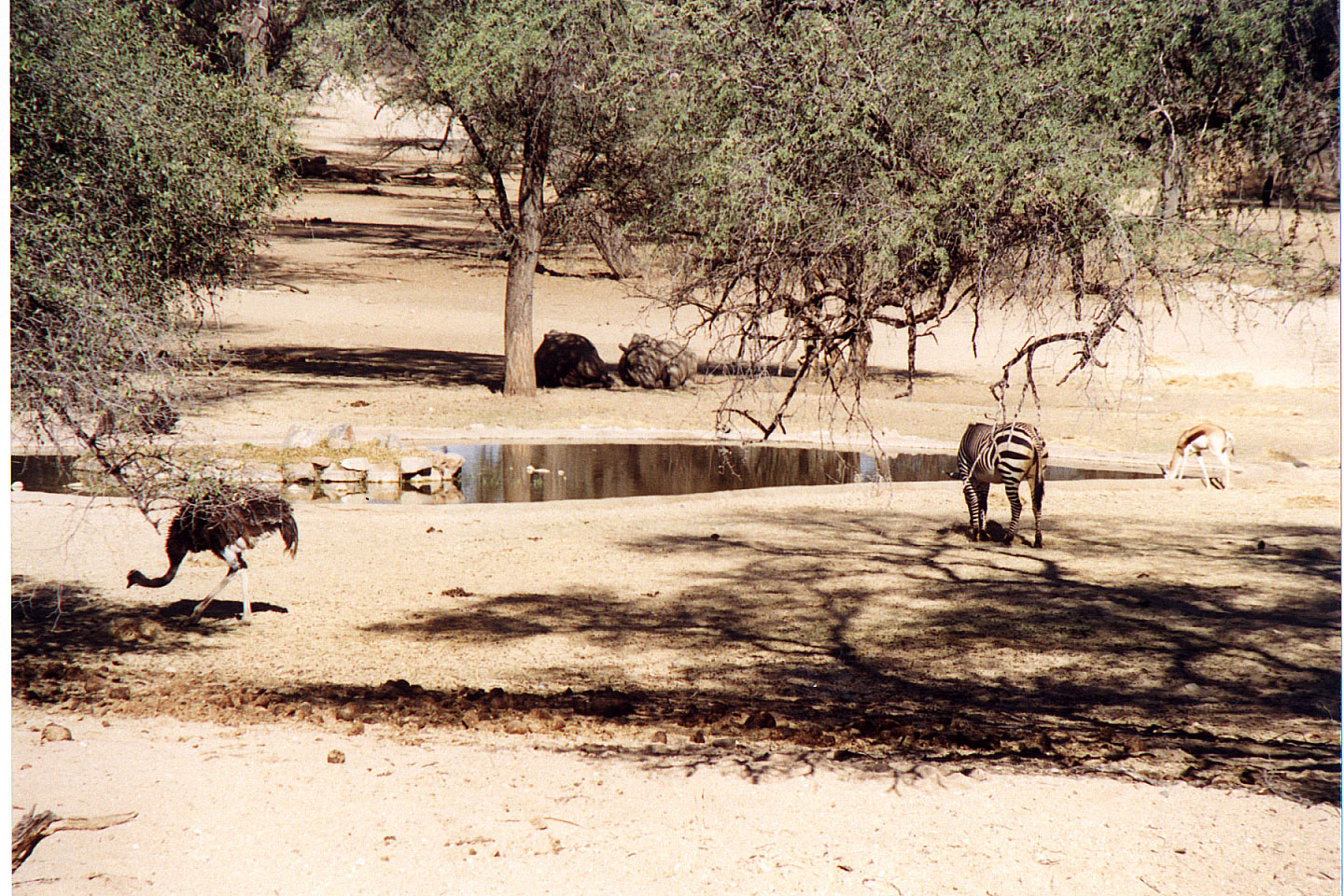 003.jpg, Epako Game Lodge