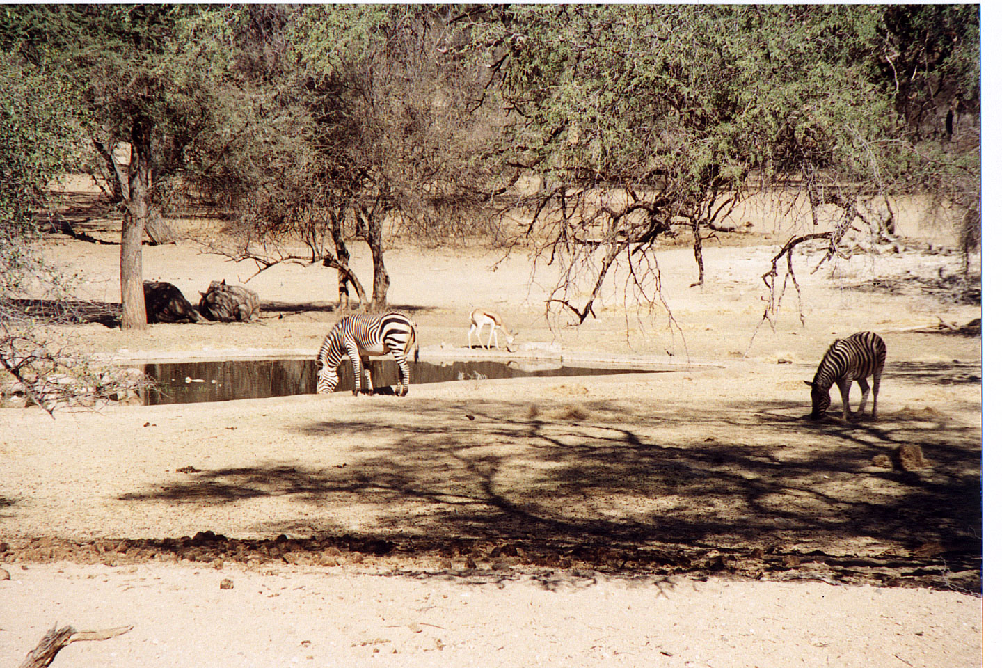 006.jpg, Epako Game Lodge