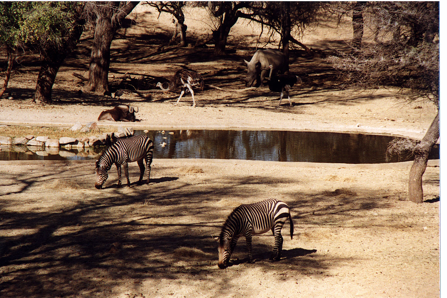 009.jpg, Epako Game Lodge