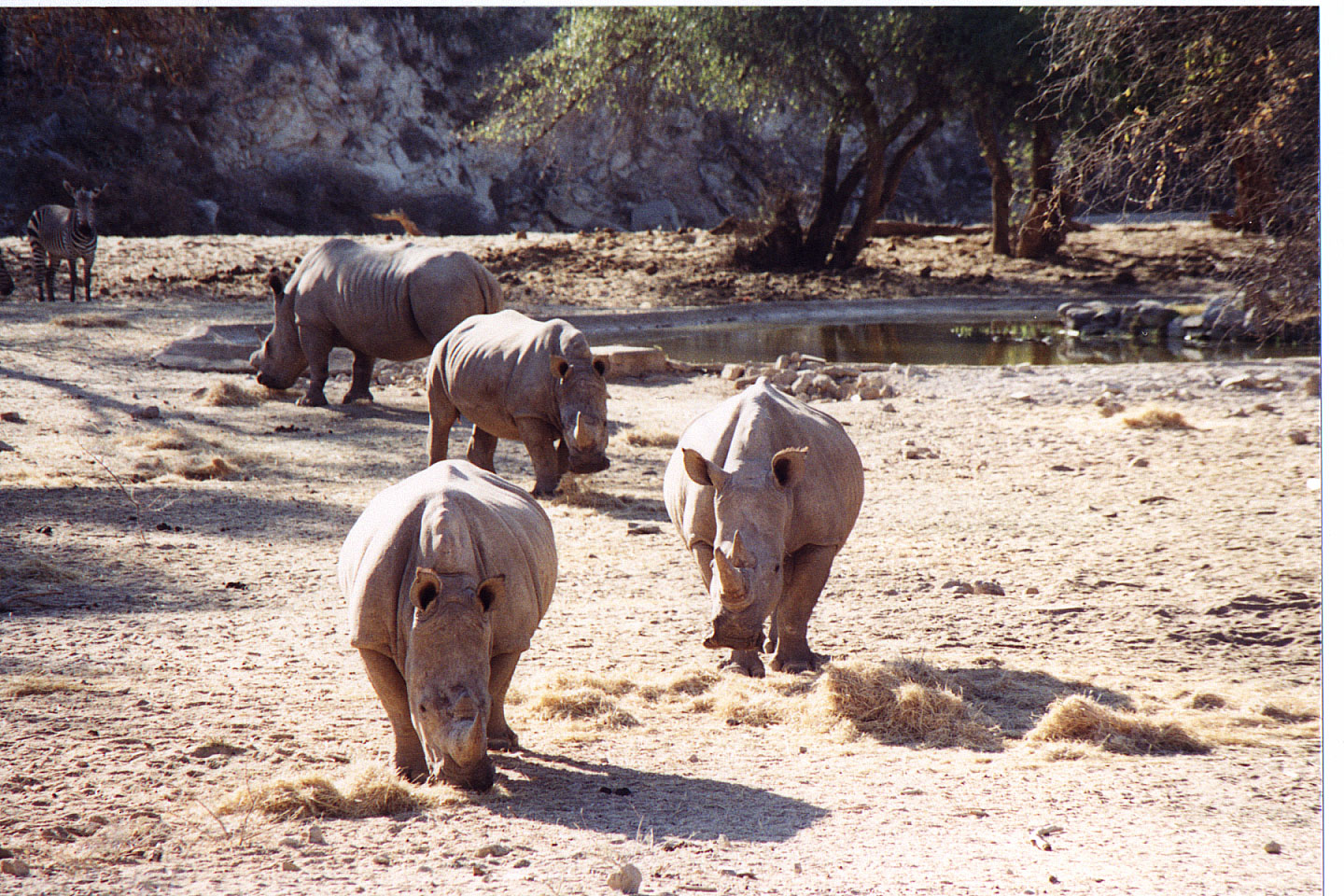 013.jpg, Epako Game Lodge