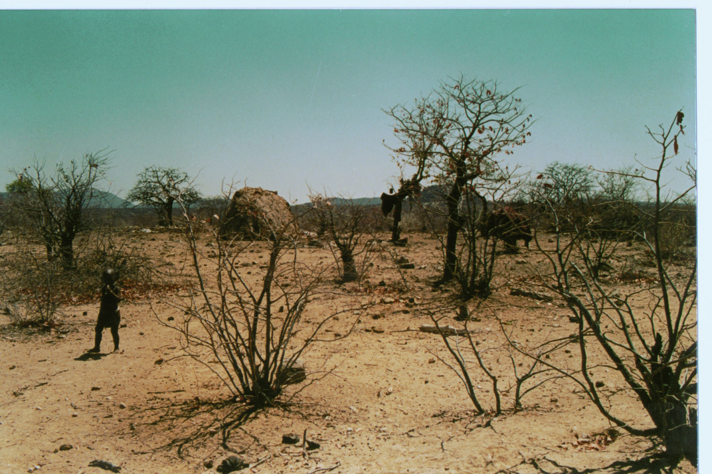 126.jpg, Himba village
Kaokoland