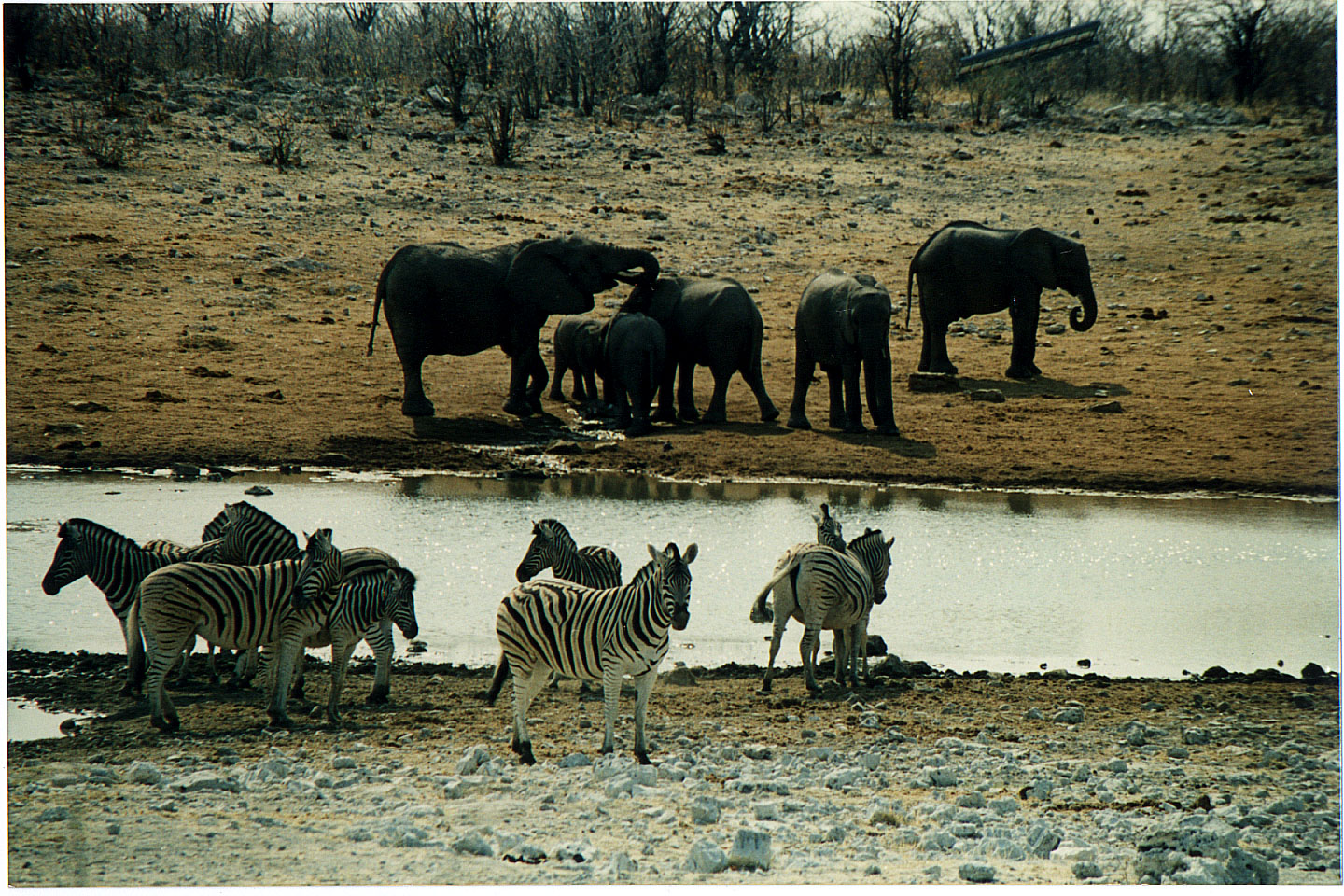 208.jpg, Etosha National Park