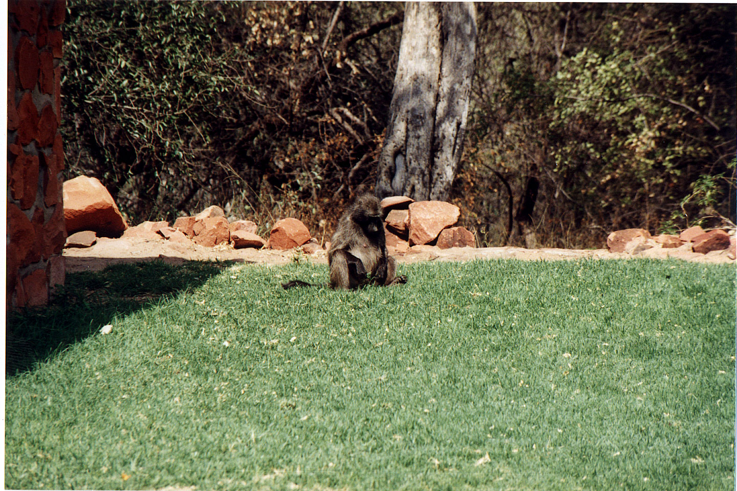 272.jpg, Waterberg Plateau