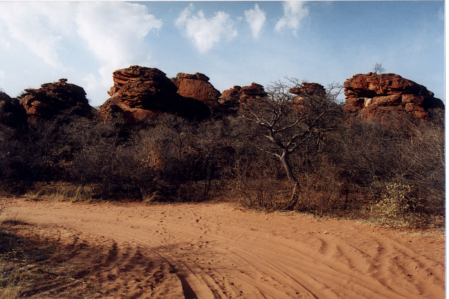 277.jpg, Waterberg Plateau